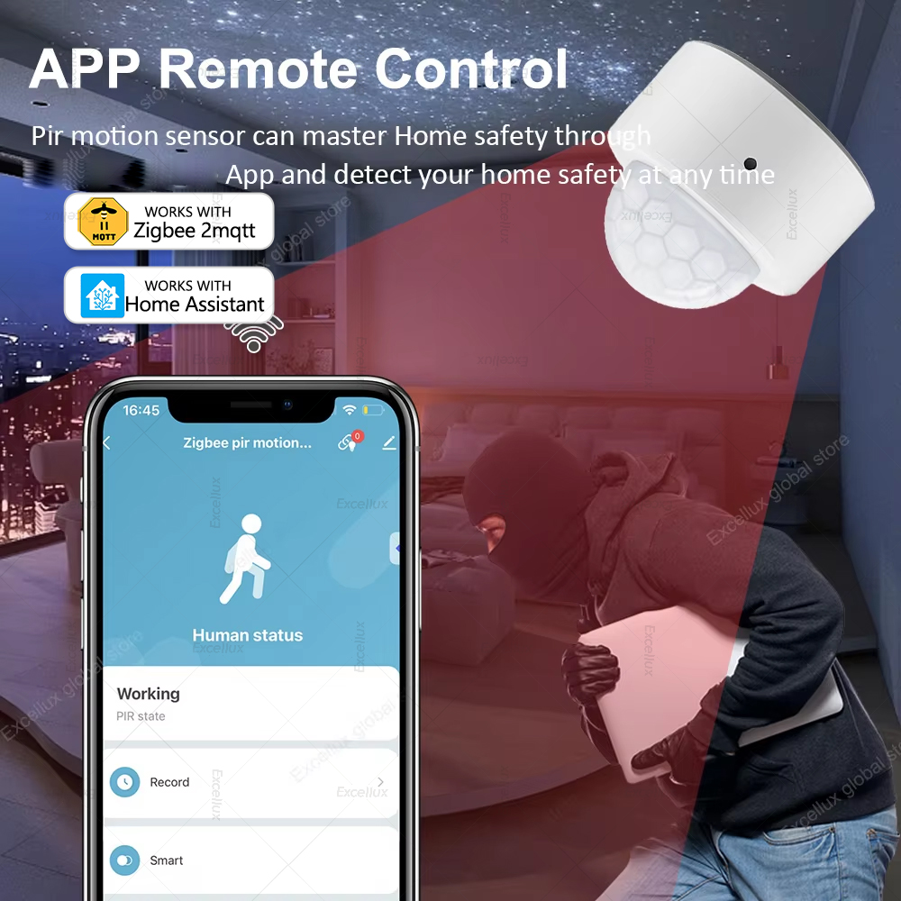 ZigBee PIR Motion Sensor Mini  - Smart Home Sistem 리뷰 및 가격