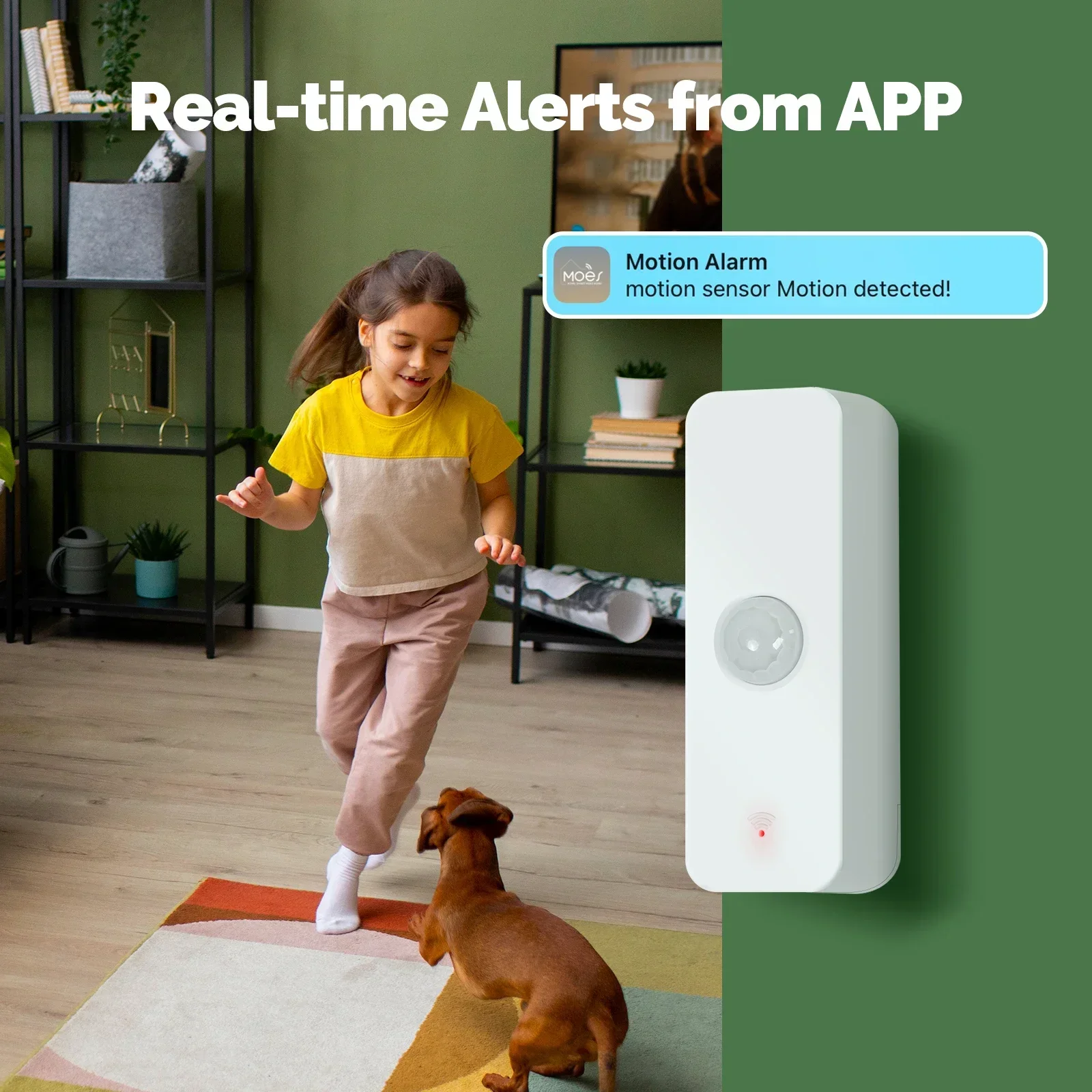 MOES Tuya WiFi/ZigBee Smart PI - Smart Home Moes 리뷰 및 가격