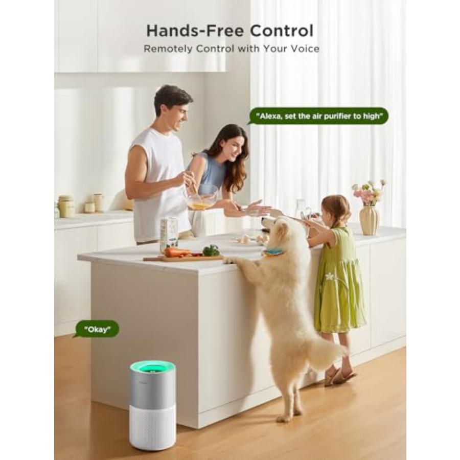 Air Purifiers for Home, Smart  - Smart Air Purifier 리뷰 및 가격