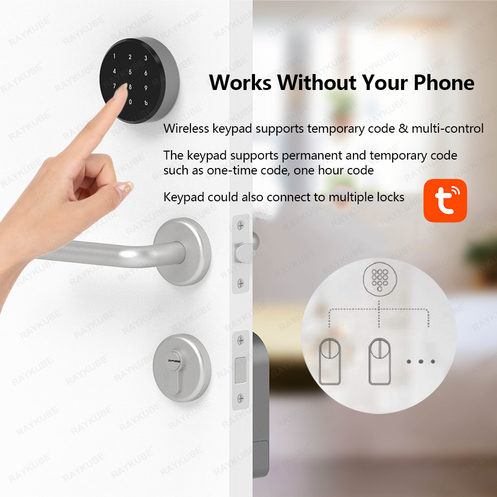 RAYKUBE A1 Pro Tuya BEL Smart  - Smart Home Japan 리뷰 및 가격