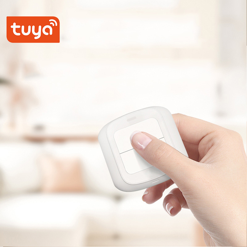 Tuya Zigbee WiFi Smart Switch  - Smart Home For Pc 리뷰 및 가격