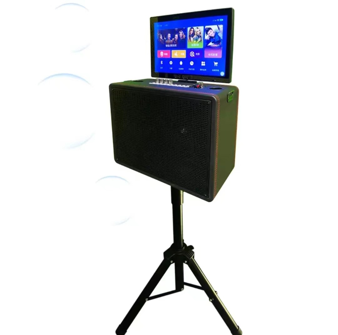14.1 inches Flip Smart Karaoke - Homesmart Online 리뷰 및 가격
