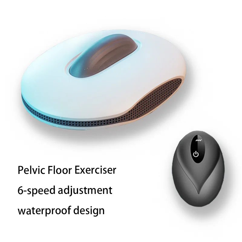 Rechargeable Pelvic Floor Exer - Smart Home Gym 리뷰 및 가격