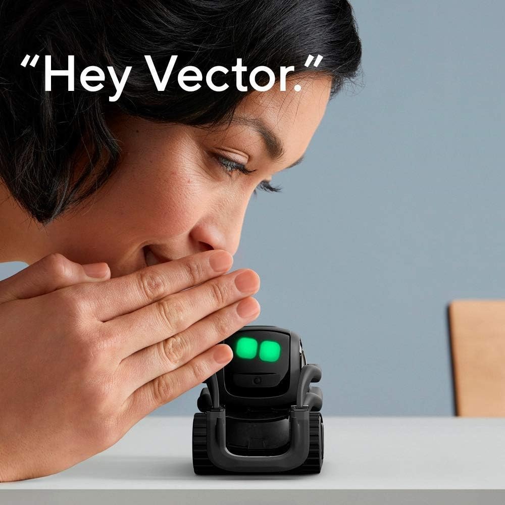AI ChatGPT 2.0 Connected Robot - Smart Home Battery Camera 리뷰 및 가격