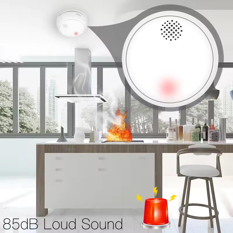 MOES ZigBee Smart Wireless Smo - Smart Home Moes 리뷰 및 가격