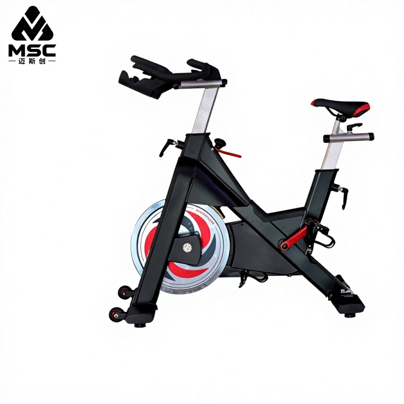 Magnetic Control Smart Gym Cyc - Smart Home Gym 리뷰 및 가격