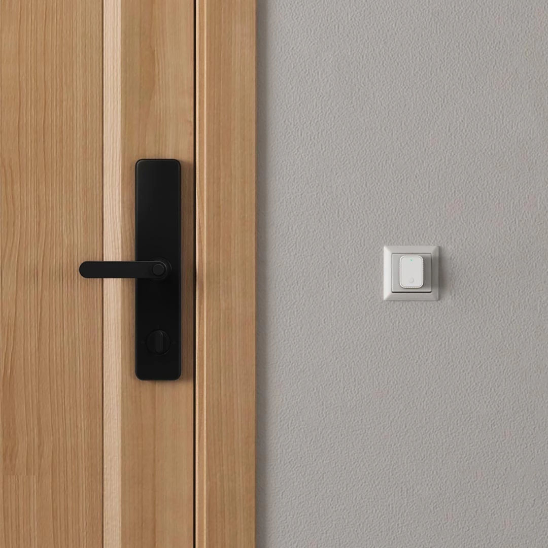 Qingping  Bluetooth Gateway Qi - Smart Home Zestaw 리뷰 및 가격
