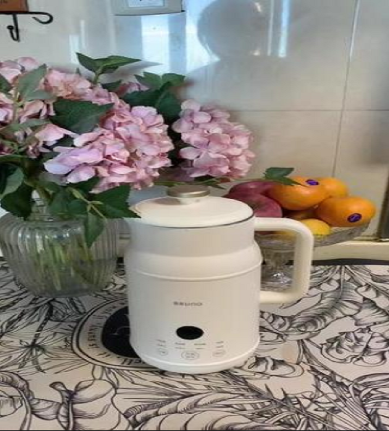 110V/220V Electric Kettle Smar - Smart Home Japan 리뷰 및 가격