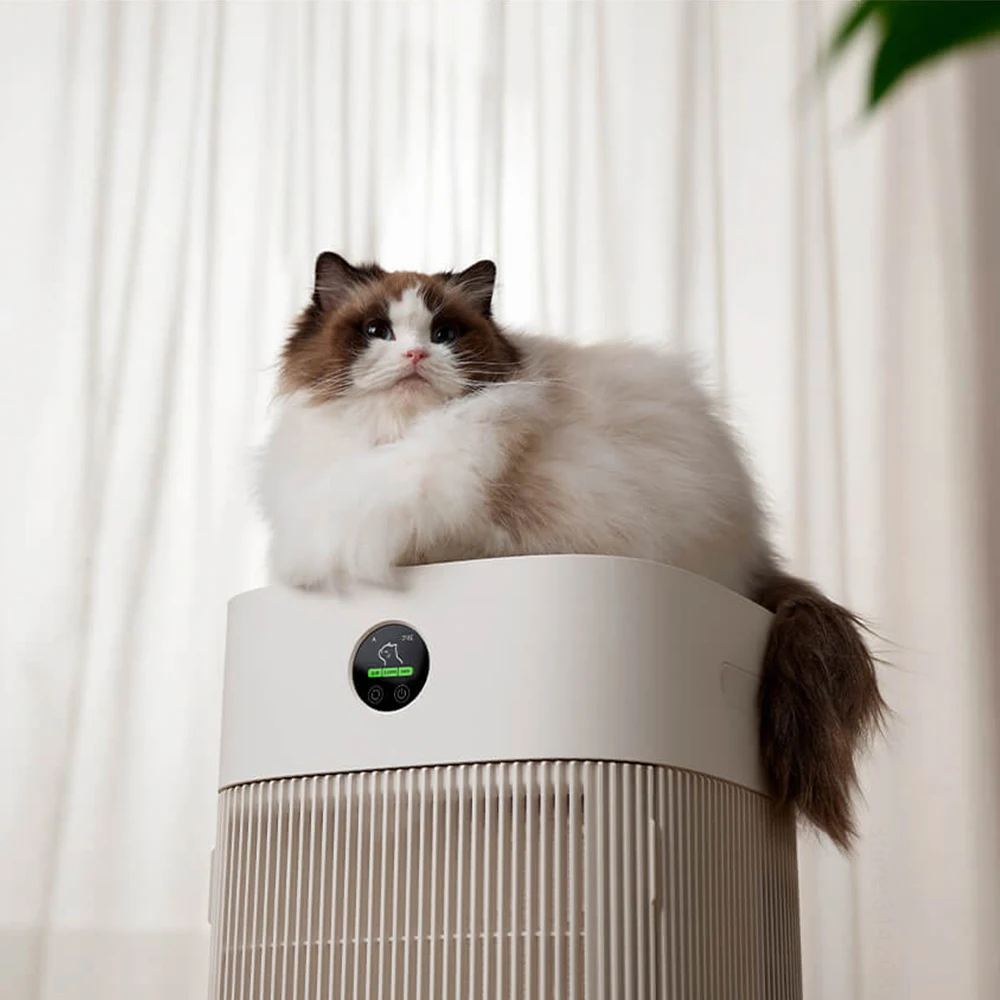 Cats Hair Fast Absorb Dogs Hai - Smart Air Purifier 리뷰 및 가격