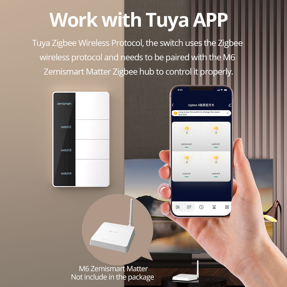 Zigbee DIY Name Switch Big Pus - Smart Home Dashboard 리뷰 및 가격
