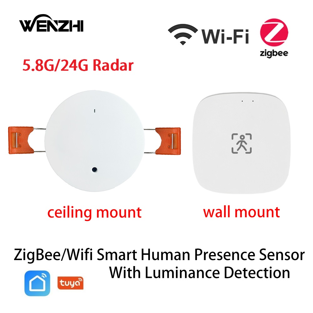 ZigBee Wifi MmWave Human Prese - Smart Home Sistem 리뷰 및 가격