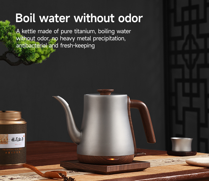 Morden Style Pure Titanium Ele - Home Smart Kettle 리뷰 및 가격