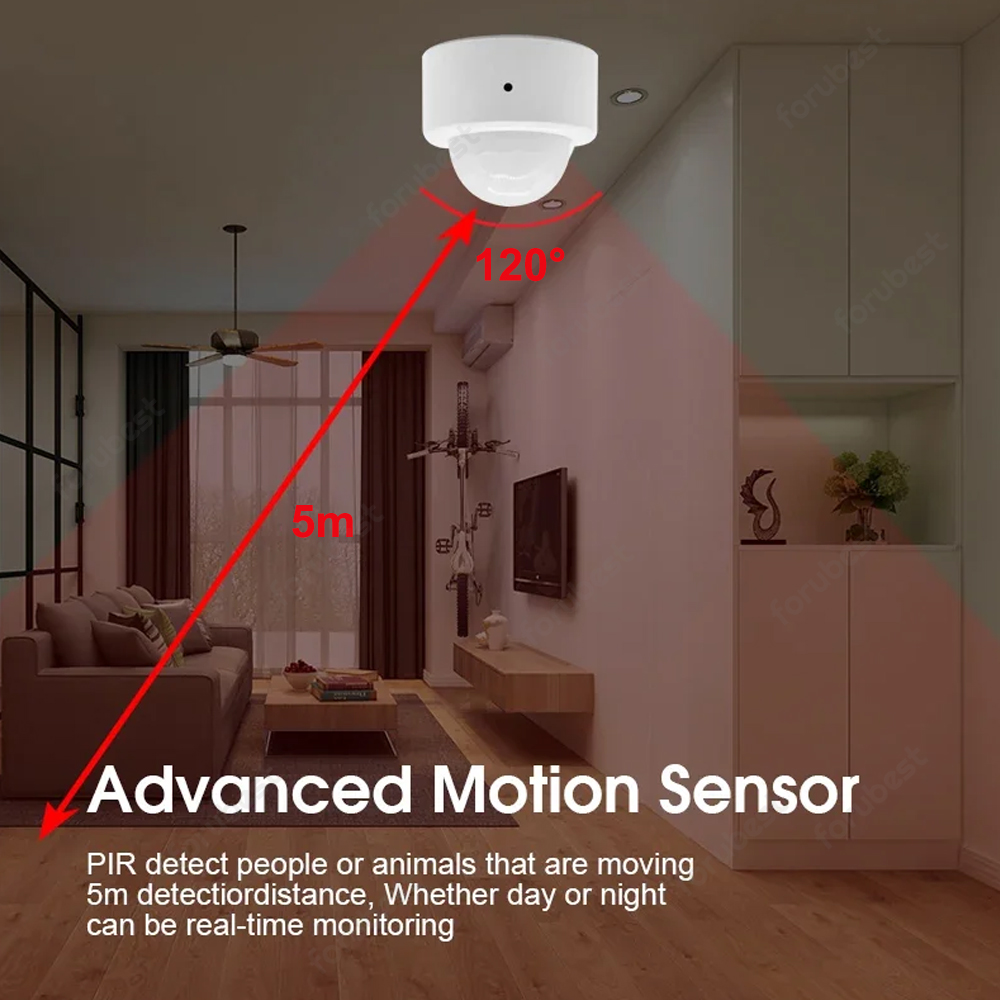 Zigbee 3.0 Human Motion Sensor - Smart Home Sistem 리뷰 및 가격