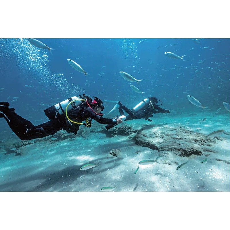 High-Speed Electric Underwater - Smart Home Gym 리뷰 및 가격