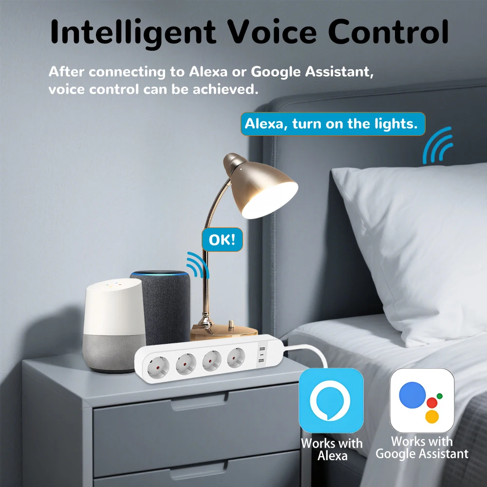 BORUIDAPLS EU Plug WiFi Smart  - Smart Home Energy App 리뷰 및 가격