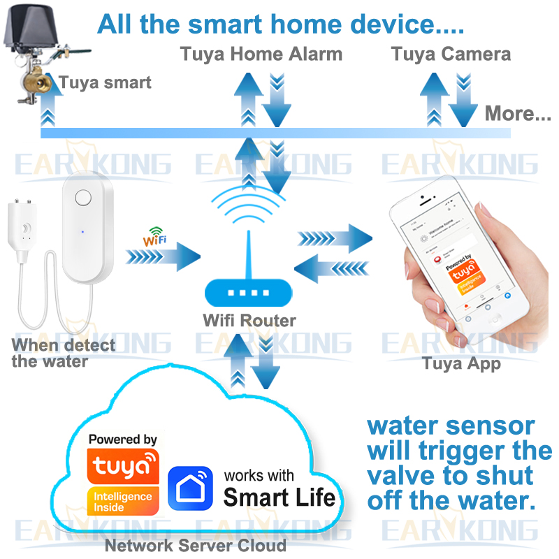Tuya WiFi Smart Water Leak Sen - Wifi Water Leak Detector 리뷰 및 가격